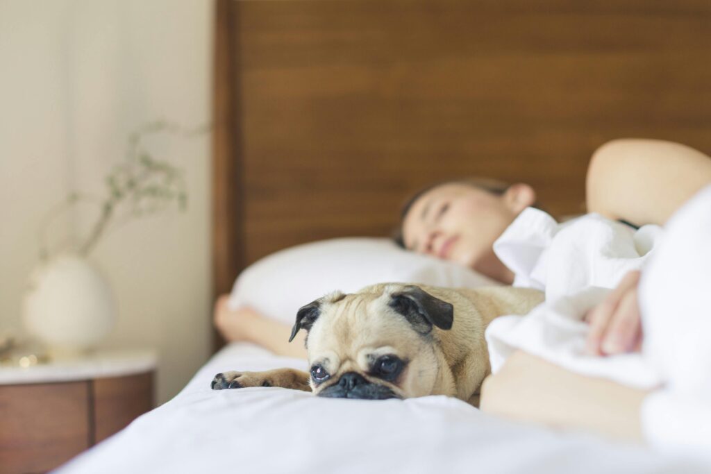 Meditação Guiada para Dormir
