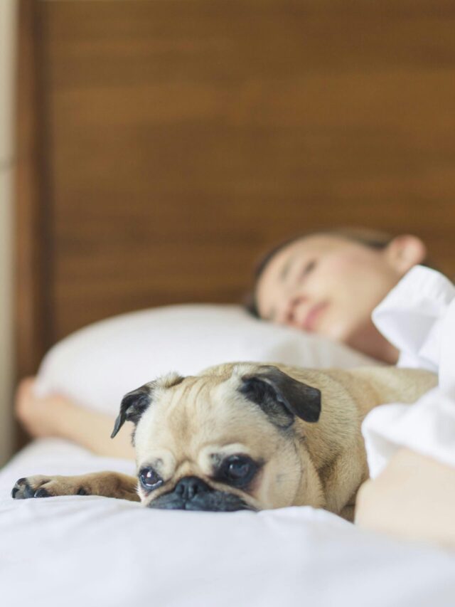 Meditação Guiada para Dormir: Técnicas e Benefícios